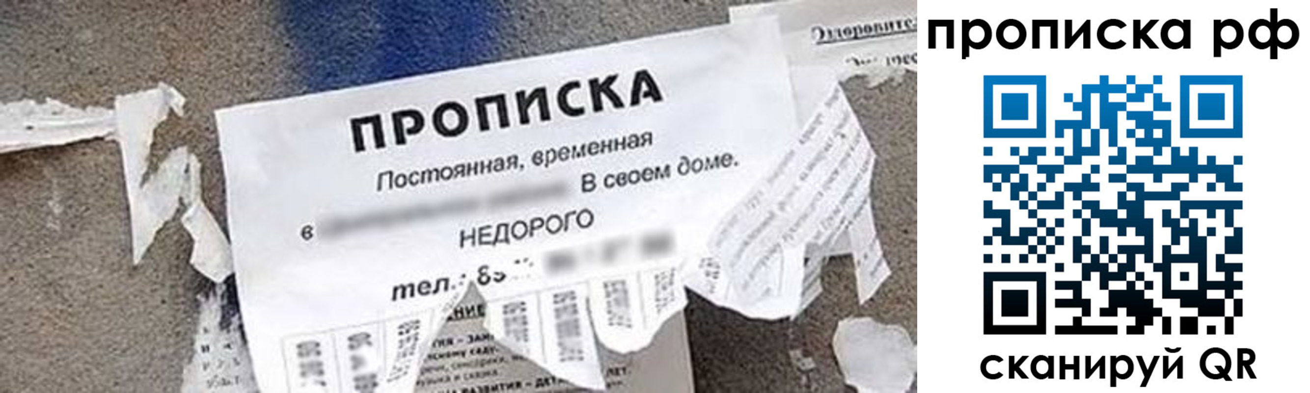где прописаться в Дубне